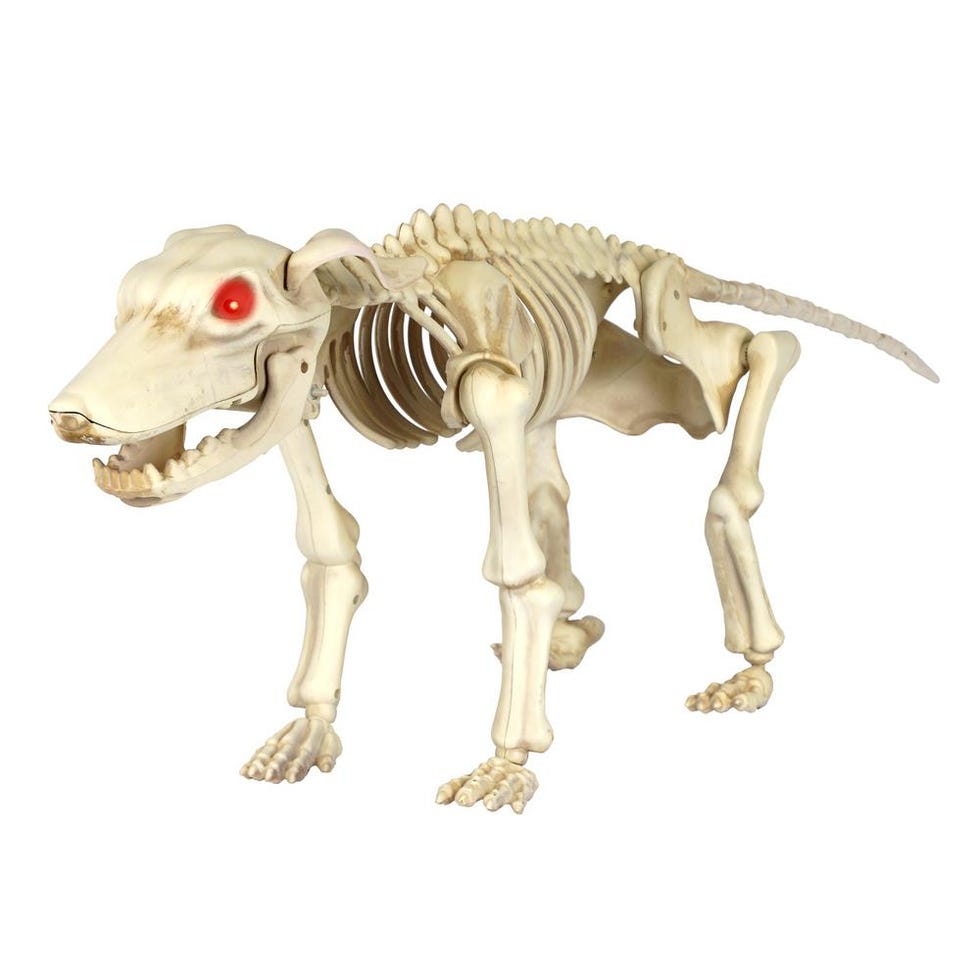 Dog Skeleton with LED Illuminated Eyes