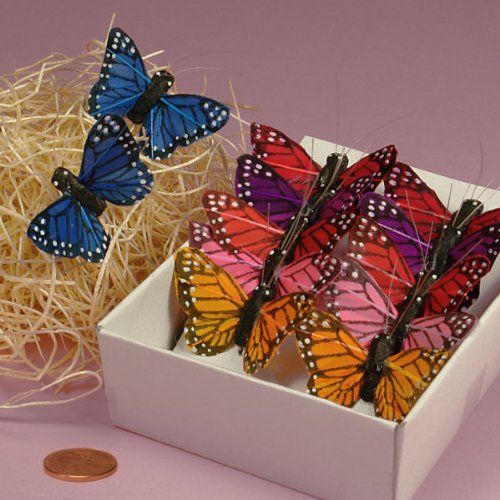 Craft Butterflies