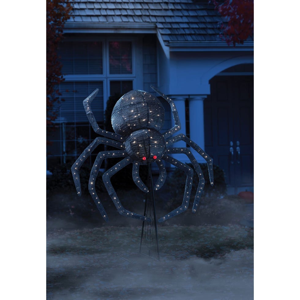 Pop-Up Fluffy Spider
