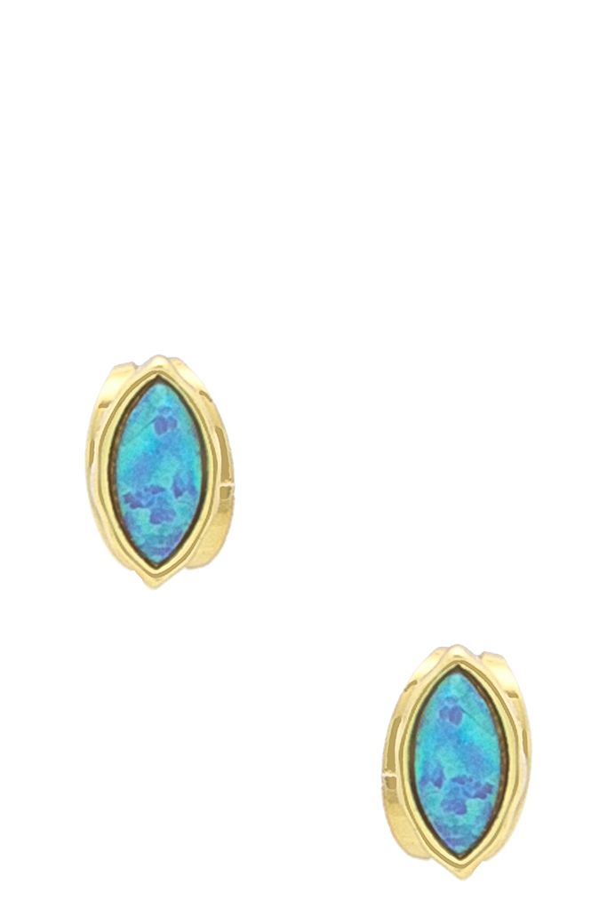 A Pair of Mesmerizing Blue Earrings