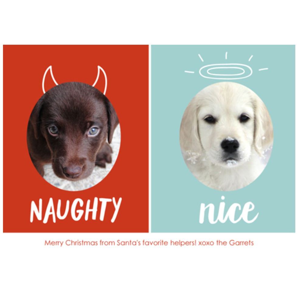 Paper Source Naughty Nice Holiday Photo Cards (Set of 20)