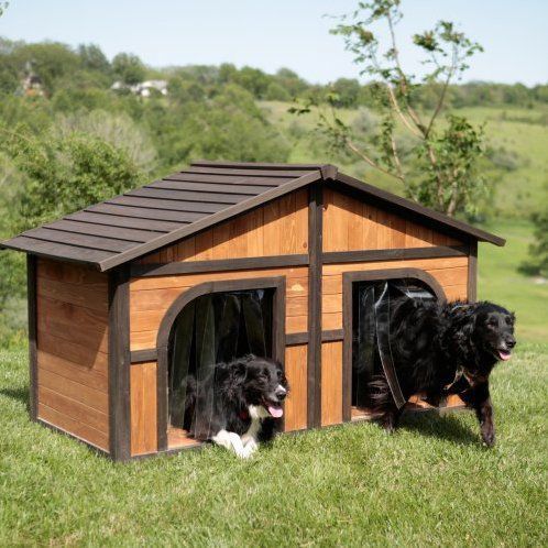 doggie door for dog house