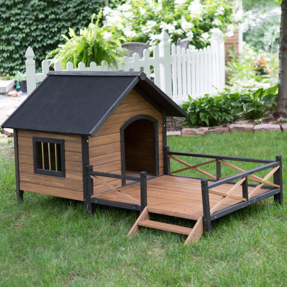 cool dog houses for sale