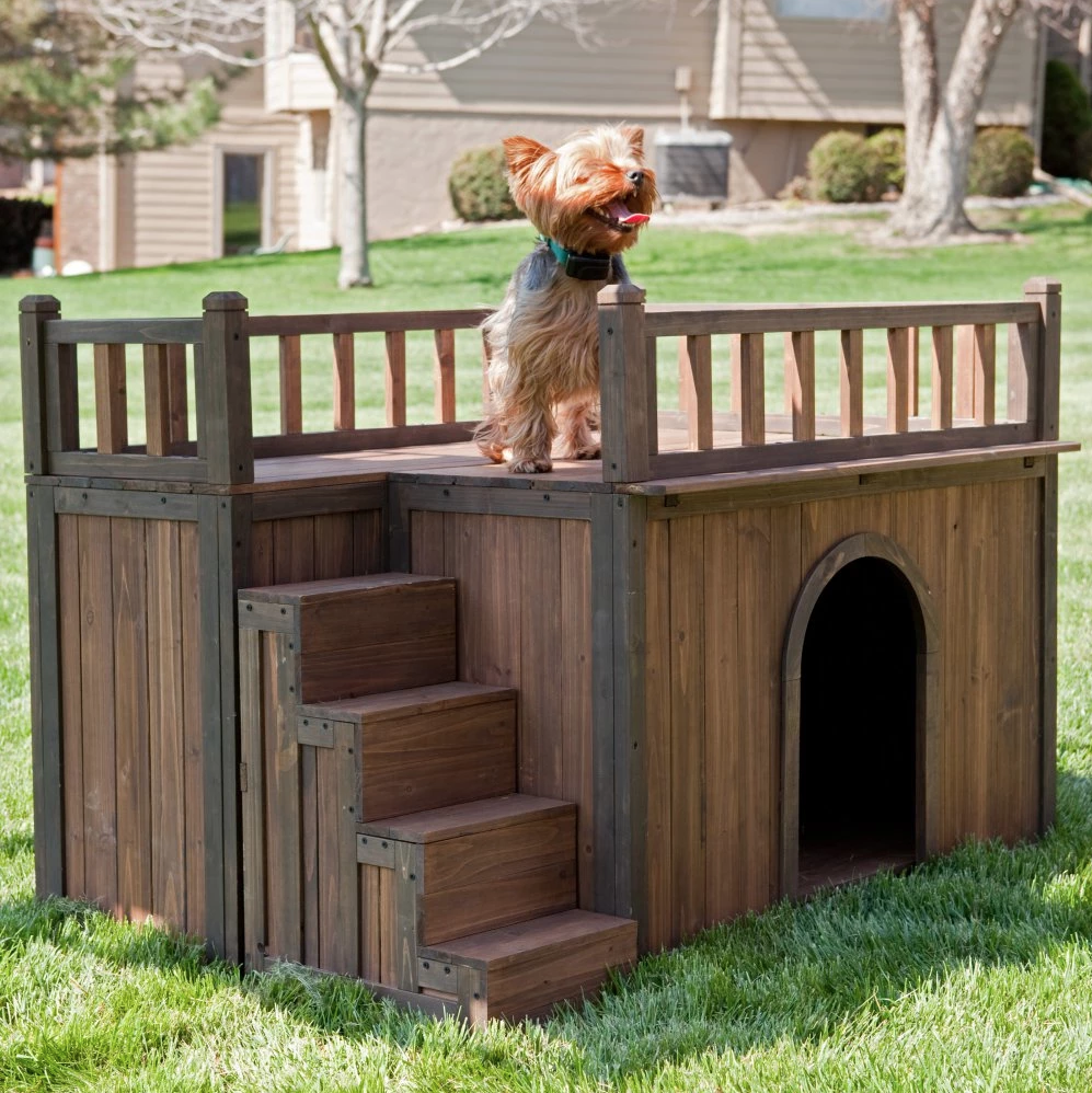 dual dog house