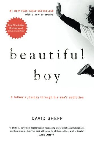 Beautiful Boy by David Sheff 