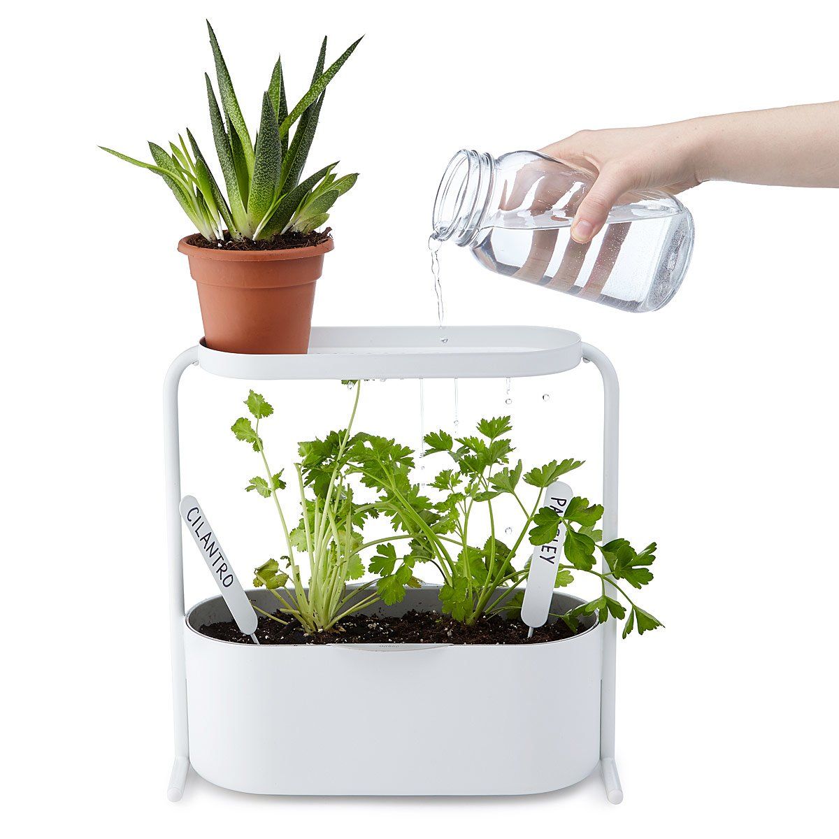 12 Indoor Herb Garden Ideas Kitchen Planters We Love