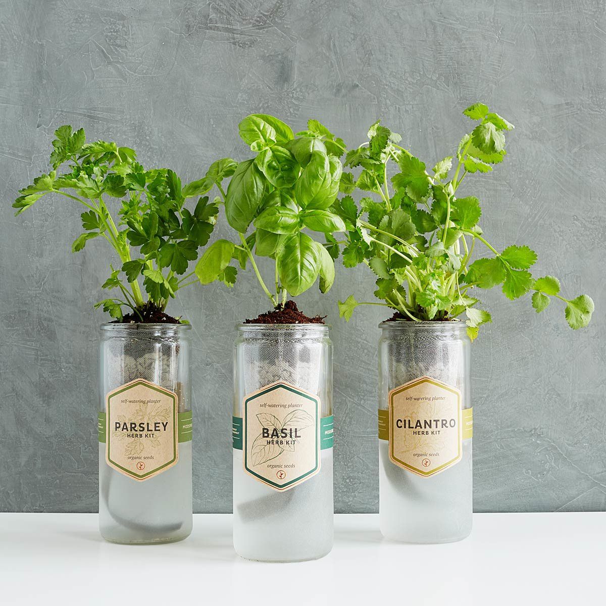 Comes with Small Herb Planter Gardening Gift Set 2 Colour Options