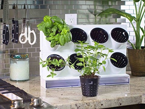 12 Indoor Herb Garden Ideas - Kitchen Herb Planters We Love