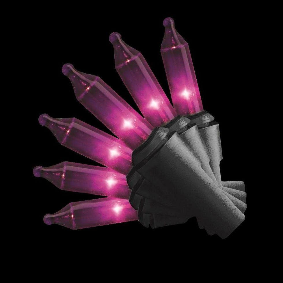 Mini Purple String Lights