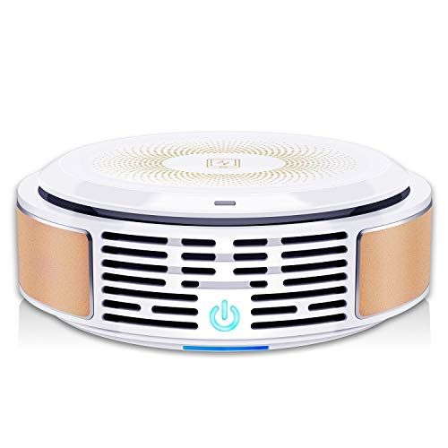 Air Purifier with True HEPA Filter