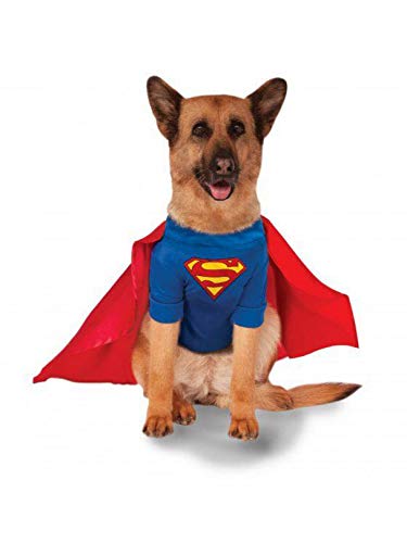 35 Best Superhero Halloween Costumes Cool Superhero Costume Ideas