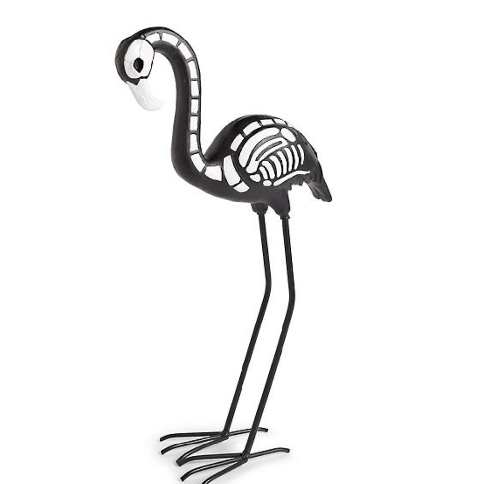 Elegant Flamingo Skeleton