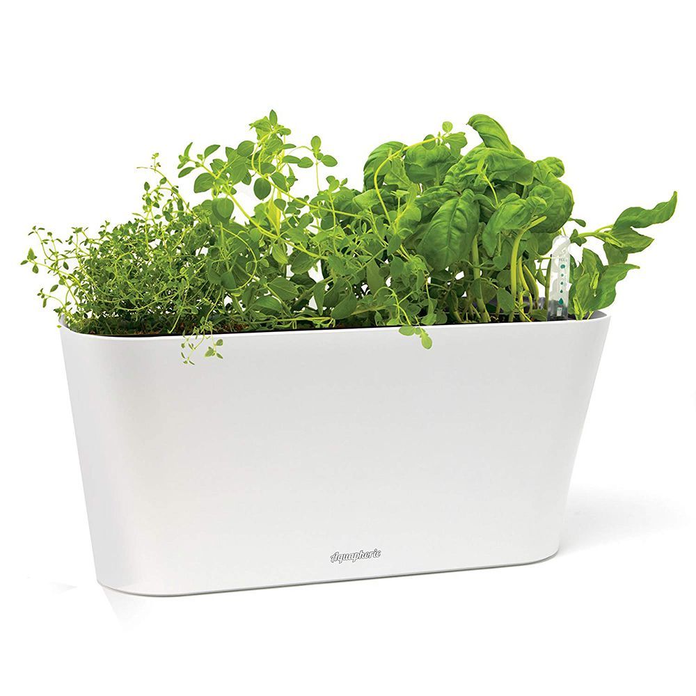 Aquaphoric Herb Garden Tub 
