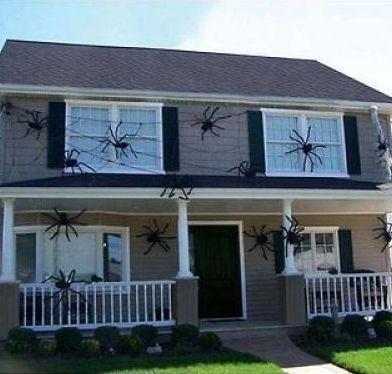 Halloween Spider Decorations