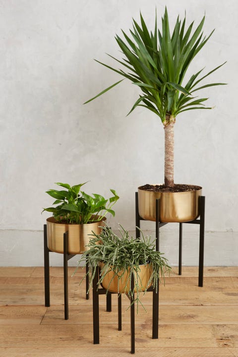 The Best Indoor Plant Stands Stylish Planters 1 Rossum Metallic Plant Stand Anthropologie