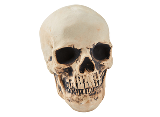 Skull Shaped Logs For Fireplace Skull Log Halloween Decor