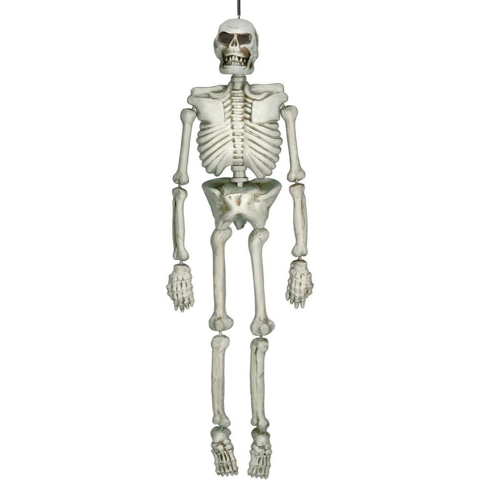 Halloween Hanging Life Size Human Skeleton