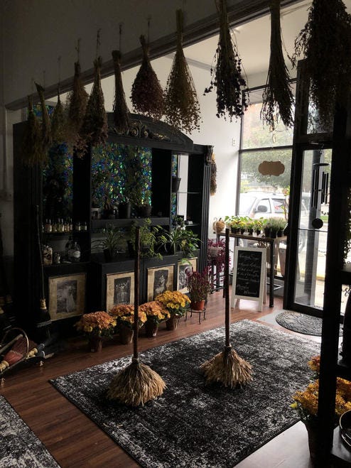 39. Mendi 5 Witches Broom