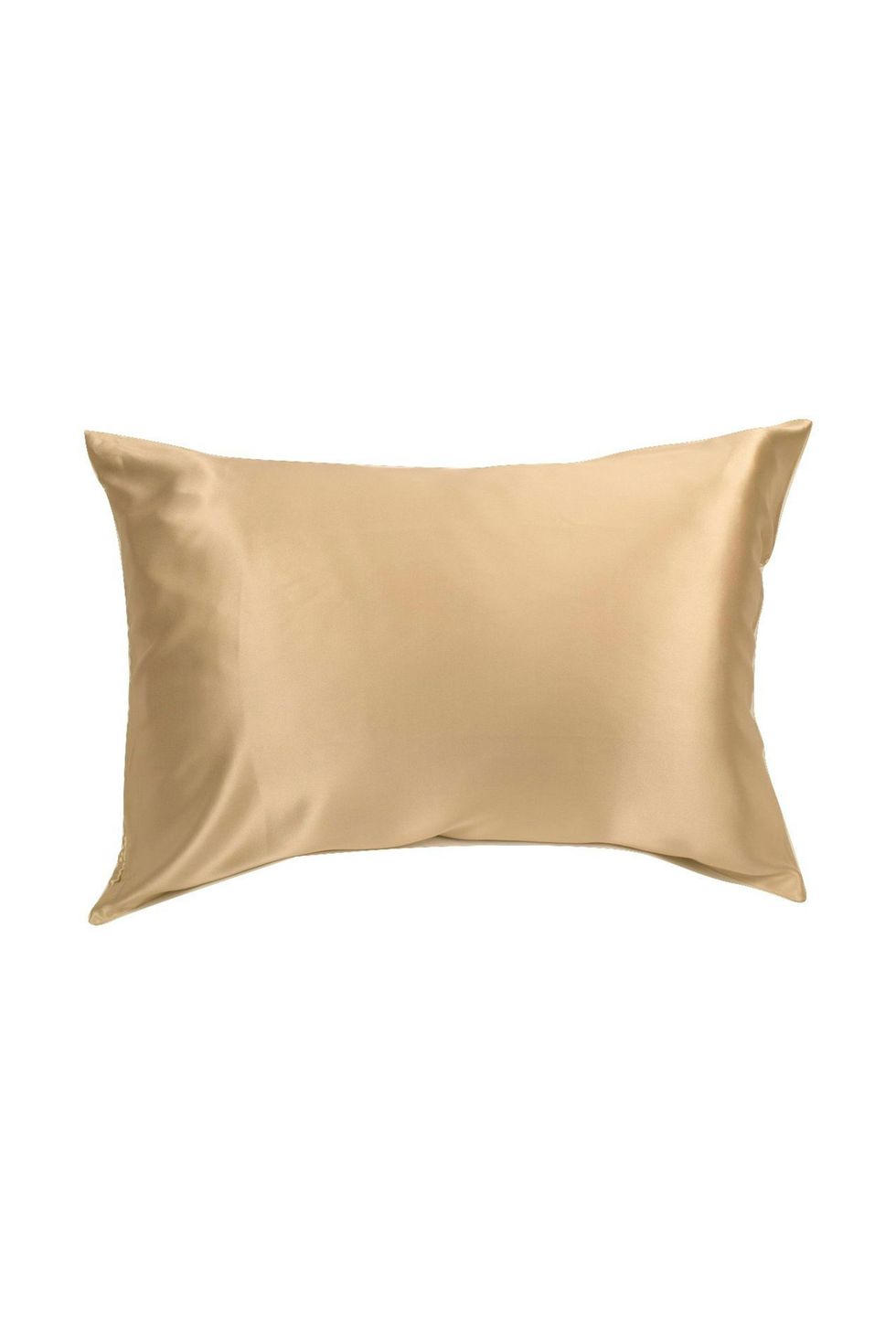 The Hollywood Silk Solution Silk Pillowcase