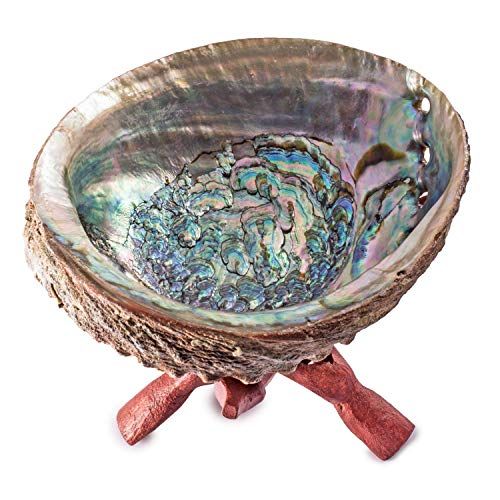 Crystal Allies Specimens Abalone Shell Smudging Kit