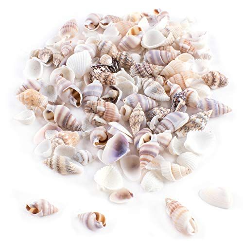 Tiny Shells