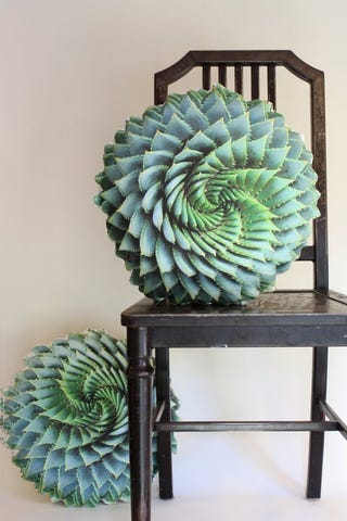 Plantillo Succulent Pillows Best Things To Buy On Etsy