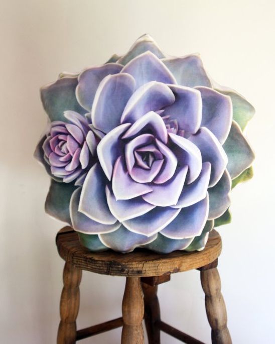 Plantillo Succulent Pillows - Best Things To Buy On Etsy