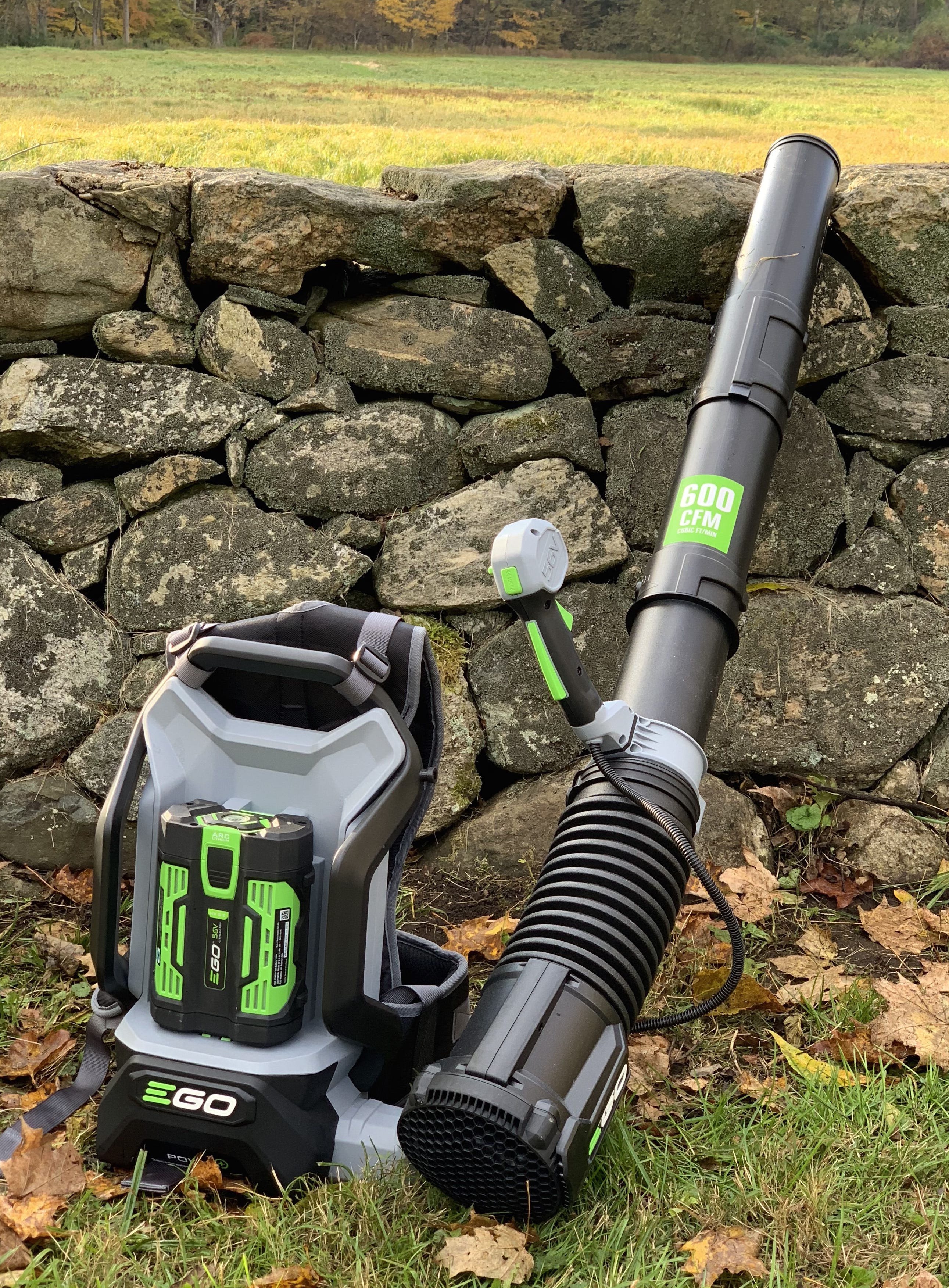 best leaf blower reviews