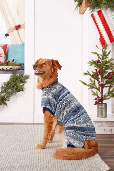 25+ Matching Family Christmas Pajamas - Cute Holiday Pajamas Sets for ...