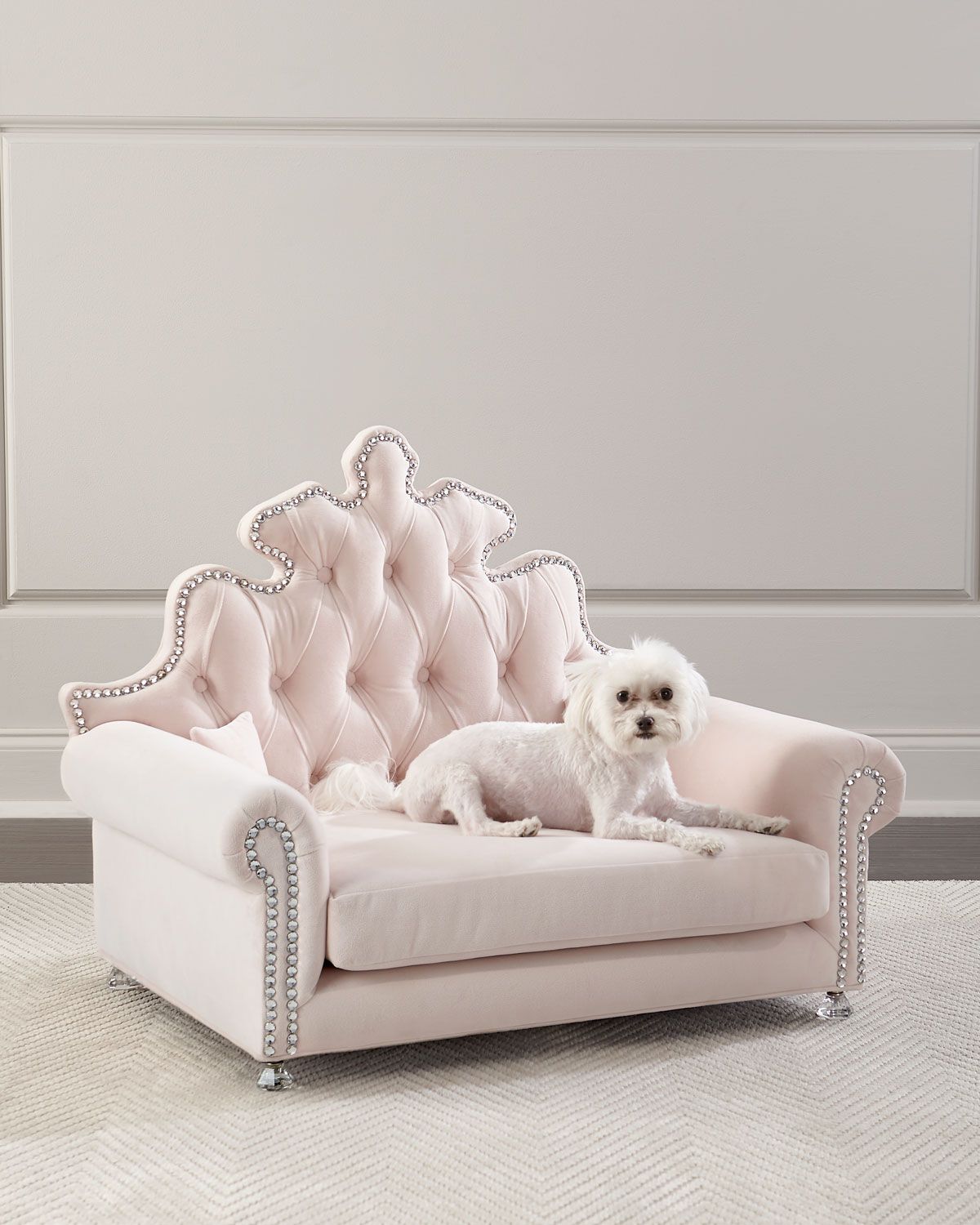 cute girl dog beds