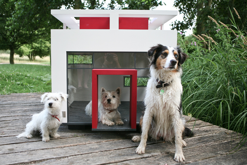 A Really, Really Extravagant Dog Home