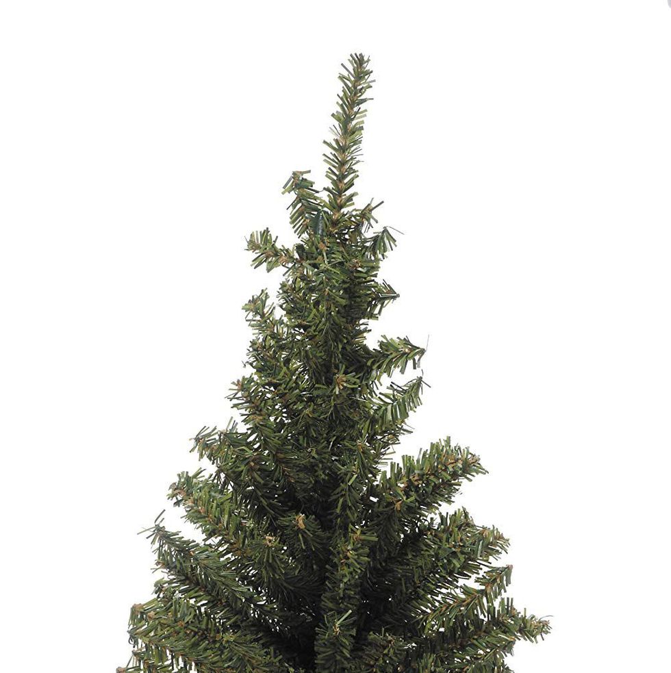 18" Mini Canadian Pine Tree with Wood Base