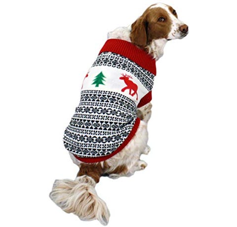 These Christmas Sweaters Let You and Your Dog Match - Matching ...