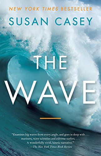 book into the waves book into the waves