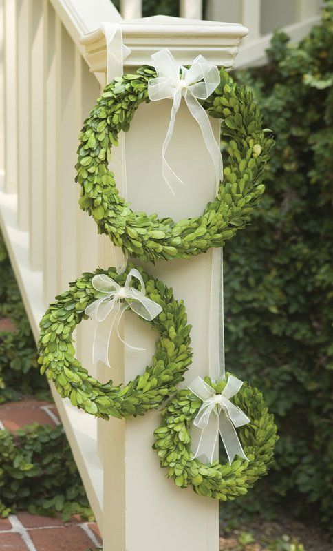 Boxwood Wreath Set