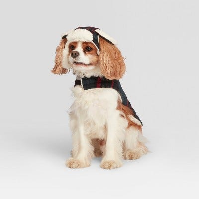 Pet Festive Plaid Holiday Jacket