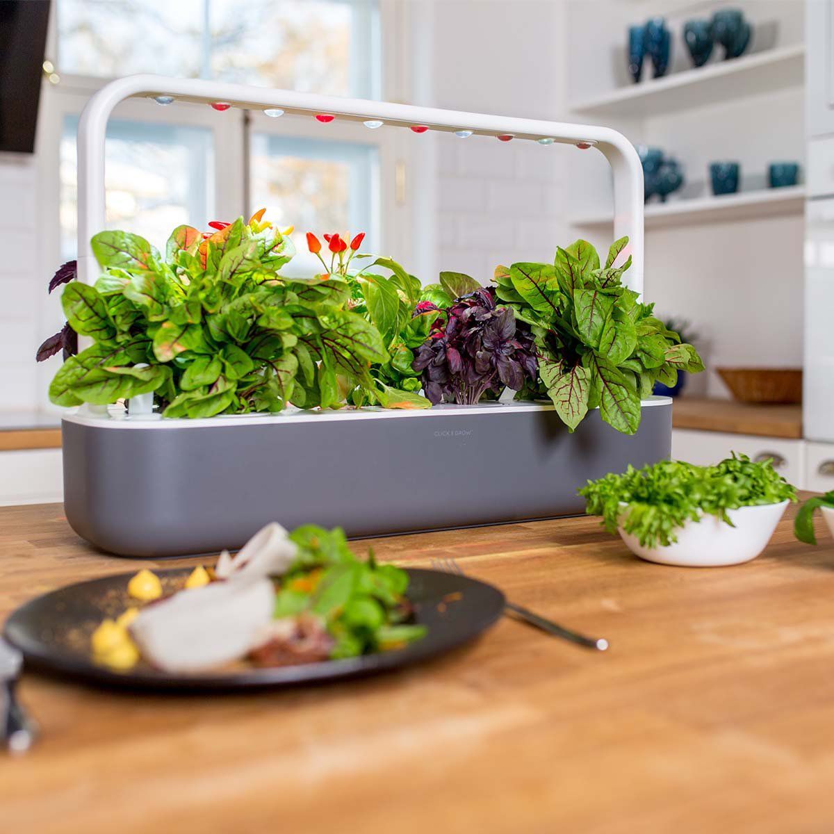 Click Grow s Smart Garden Will Keep Your Plants Alive Smart