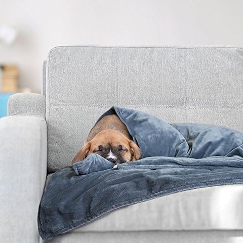 Best Weighted Blanket for Dogs on Amazon