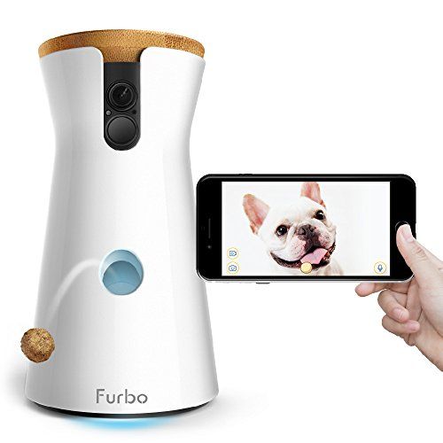 41 Best Gifts for Pets and Pet Parents 2023: Dogs, Cats, Pet