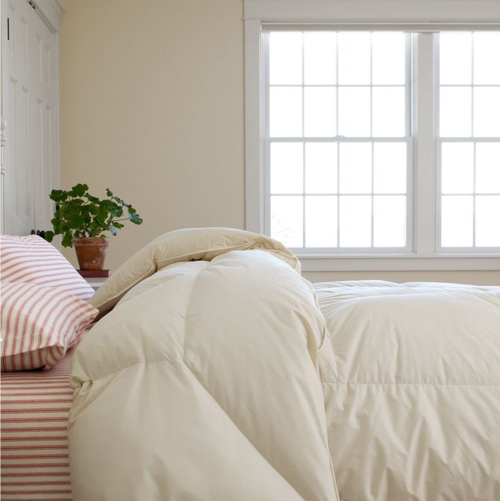 7 Best Down Comforters of 2024, Tested & Reviewed by Experts