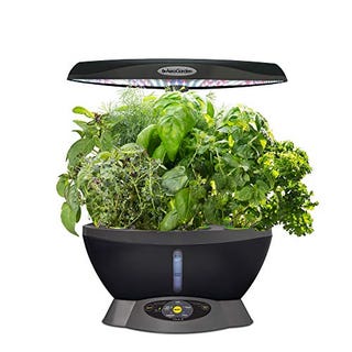 AeroGarden and Herb Seed Pod Kit