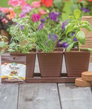 All-In-One Herb Garden