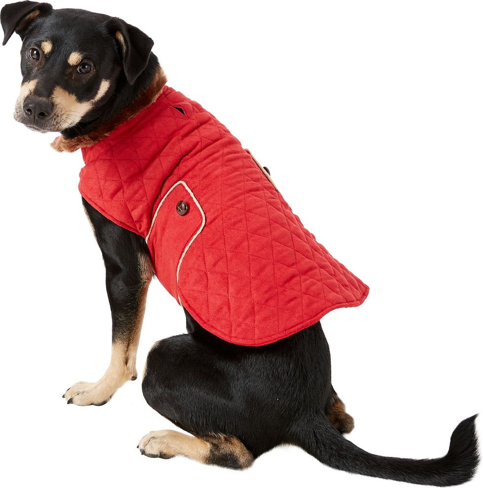 Zack & Zoey Elements Derby Quilted Dog Coat