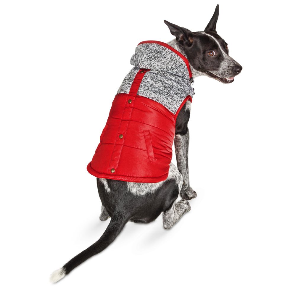 Knit Hooded Dog Coat