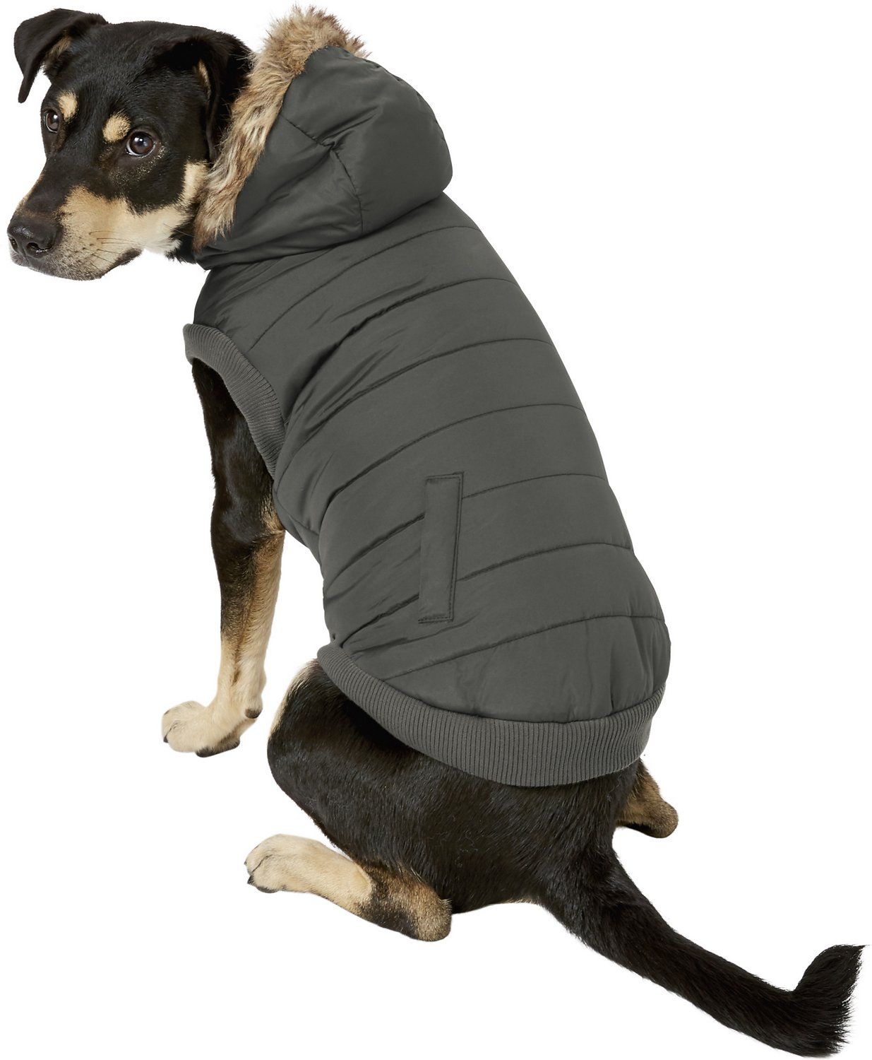 dog parka jacket