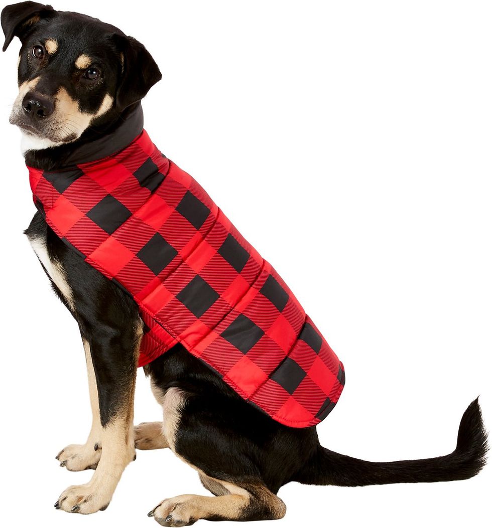 Reversible Dog & Cat Plaid Puffer Coat
