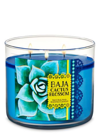 Baja Cactus Blossom 3-Wick Candle