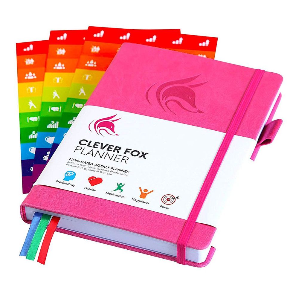 Clever Fox Planner Pro Review – By The Scales