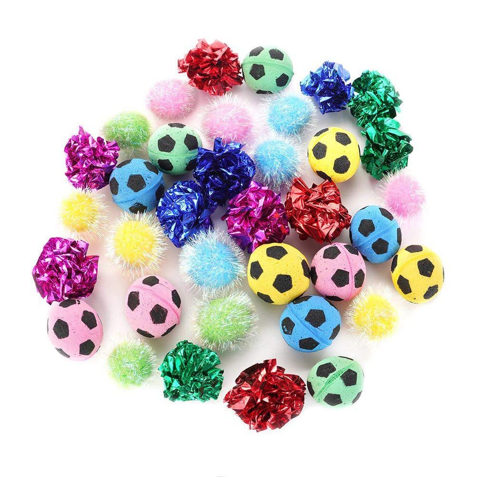 Cat Toys 