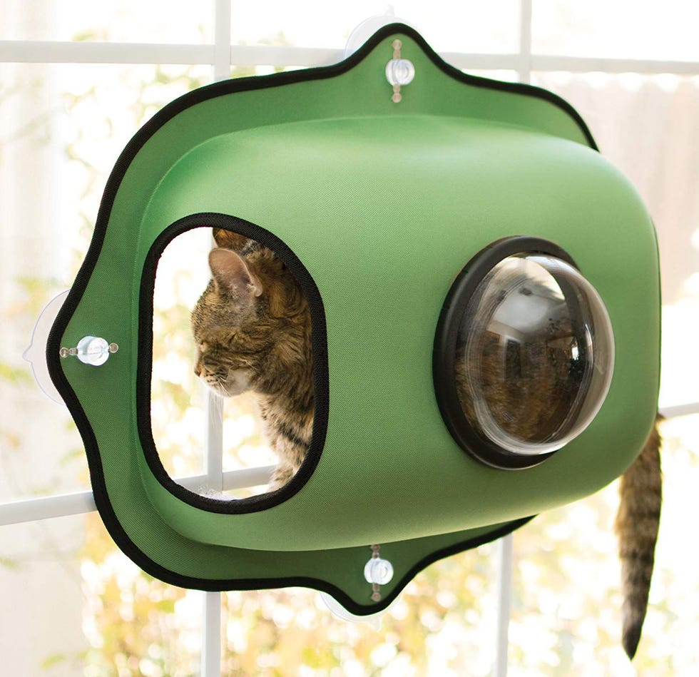 A Bubble Pod 